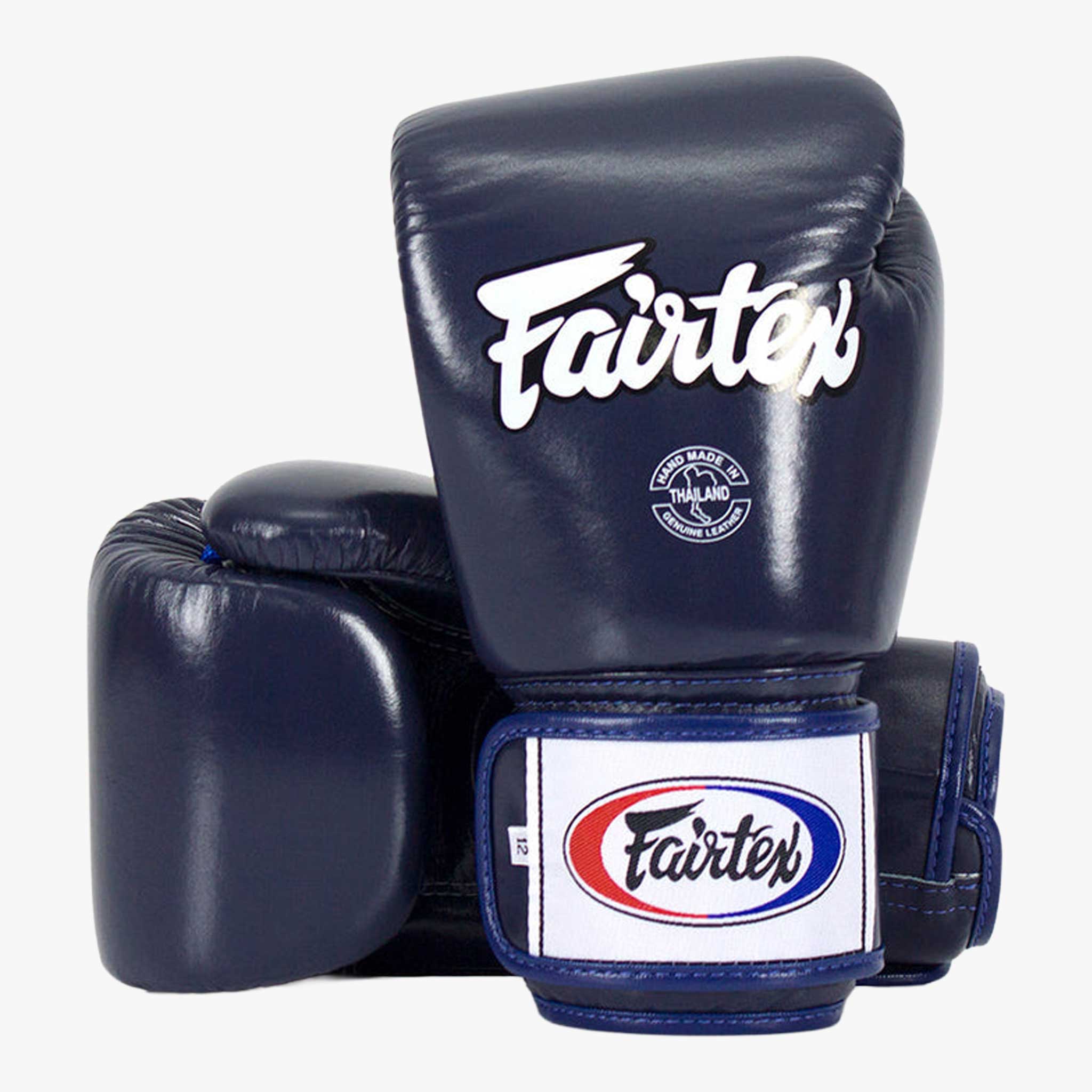 FAIRTEX Boxhandschuhe, BGV1 in Blau