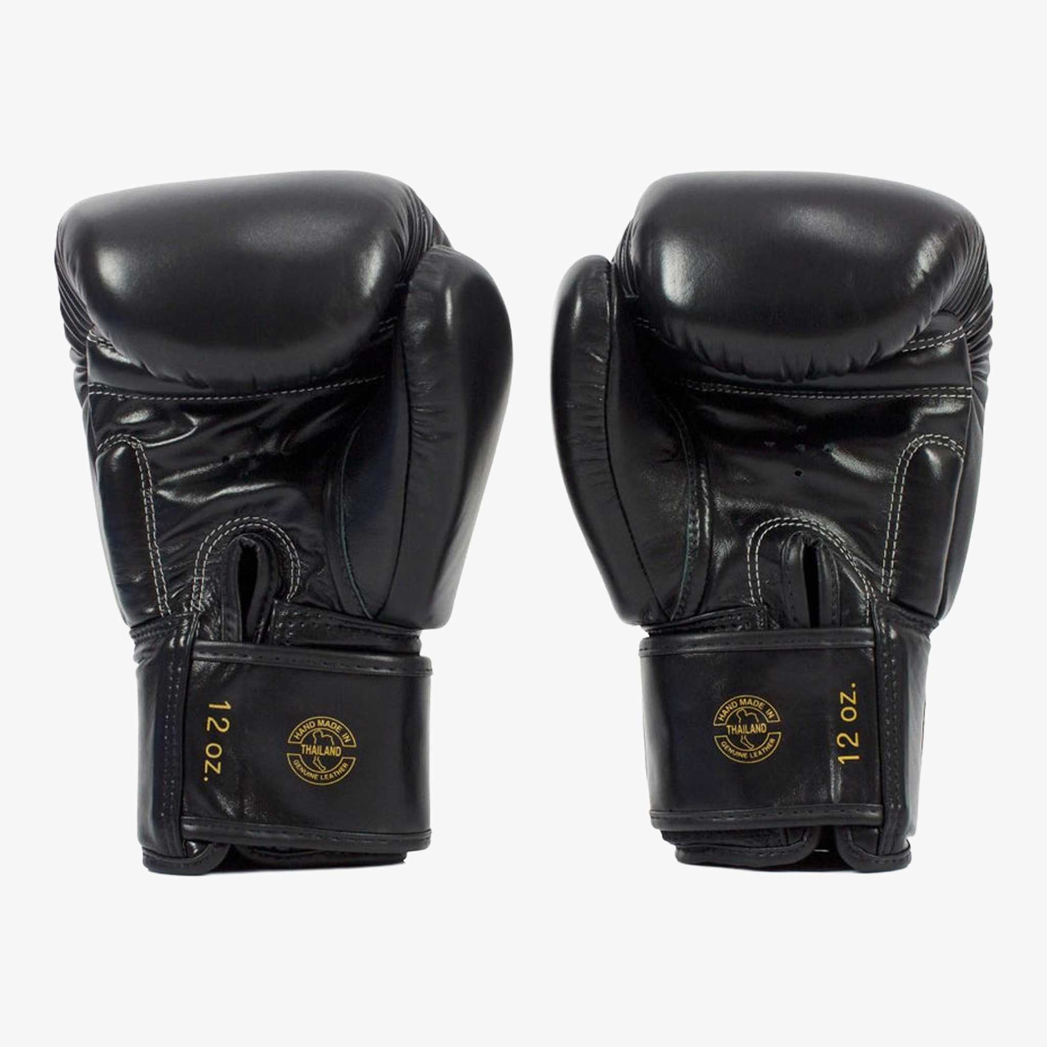 FAIRTEX Boxhandschuhe, BGV19 in Schwarz