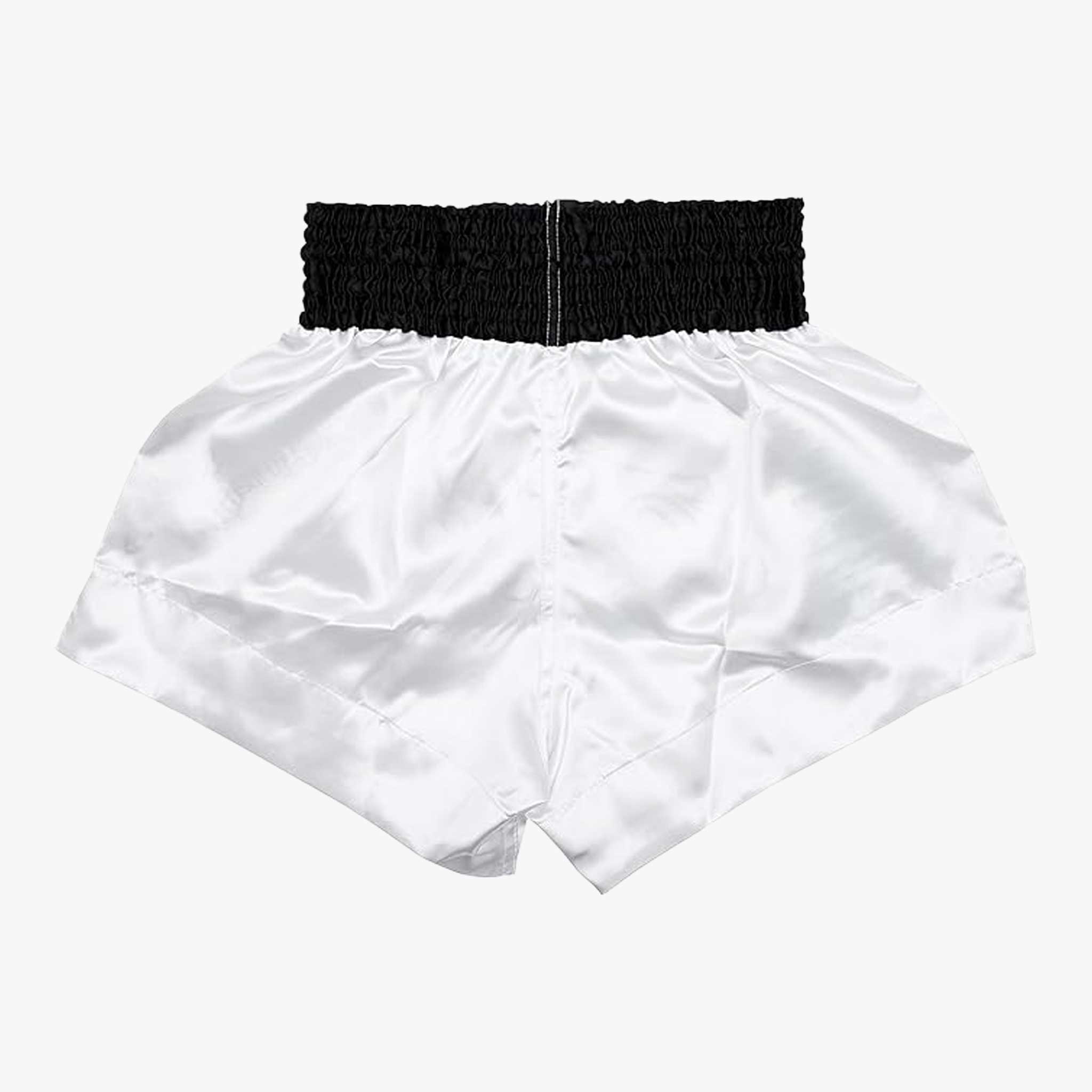 FAIRTEX Muay Thai Shorts, BS0637 in Superstition