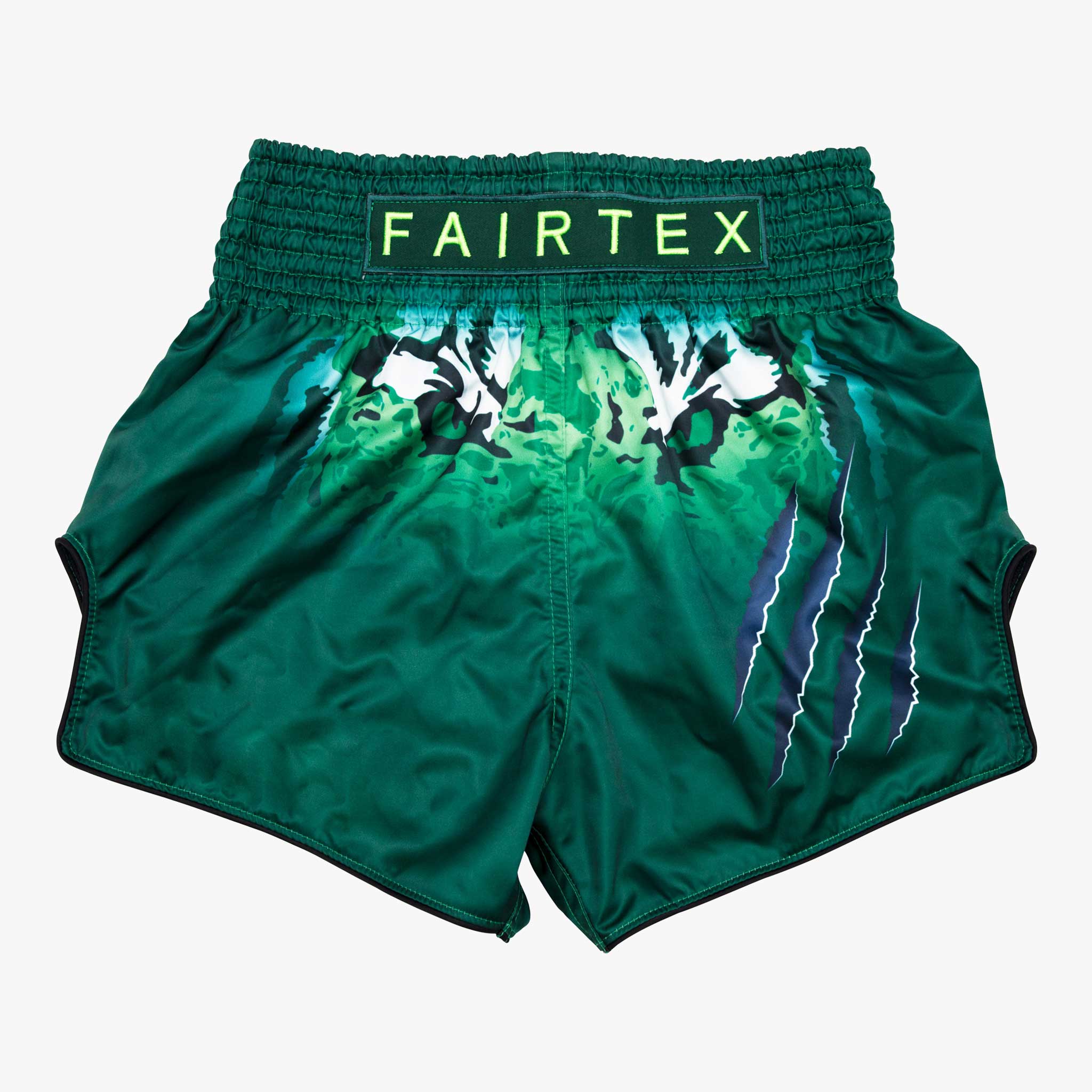 FAIRTEX Muay Thai Shorts, BS1913 in Tonna