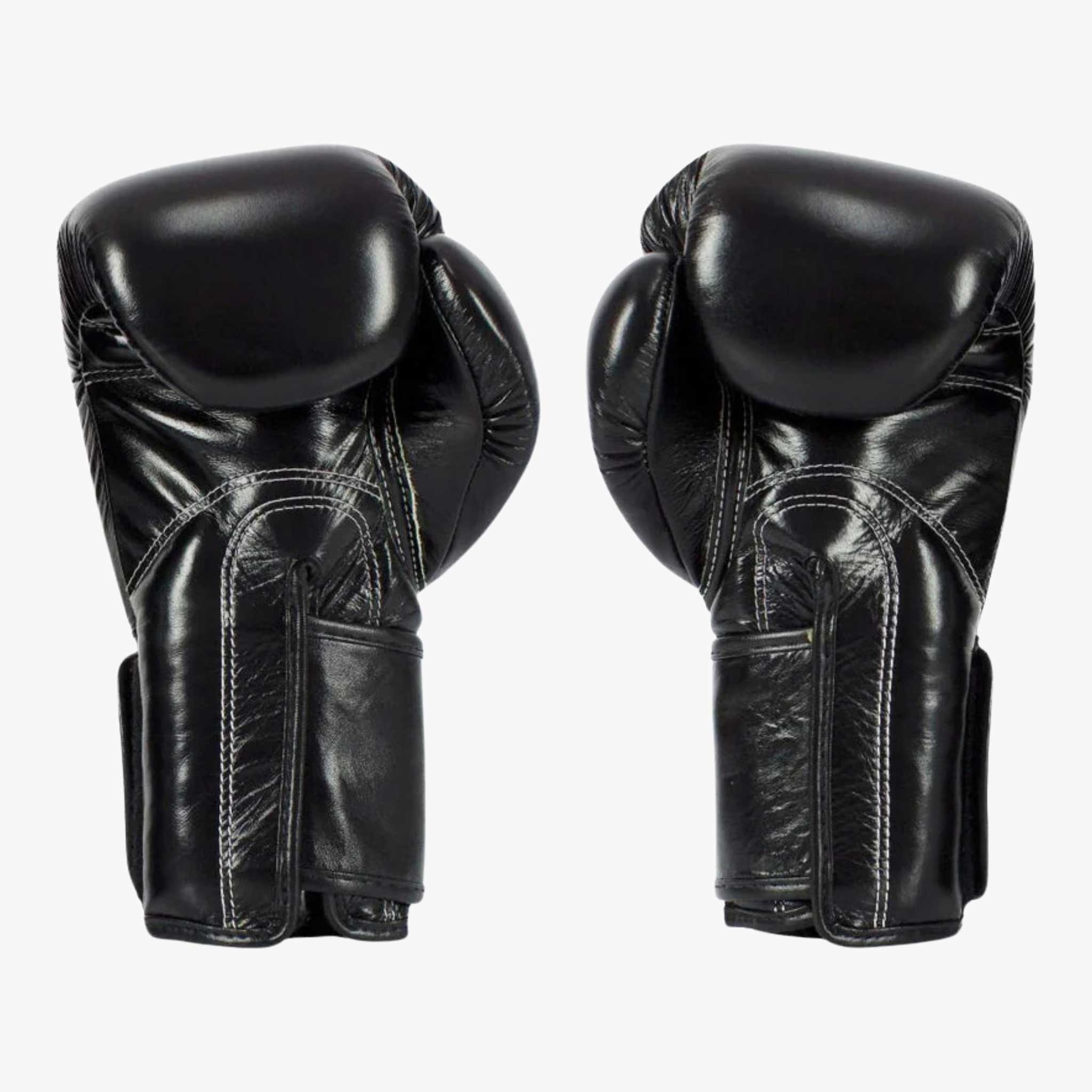 FAIRTEX Boxhandschuhe, BGV5 in Schwarz