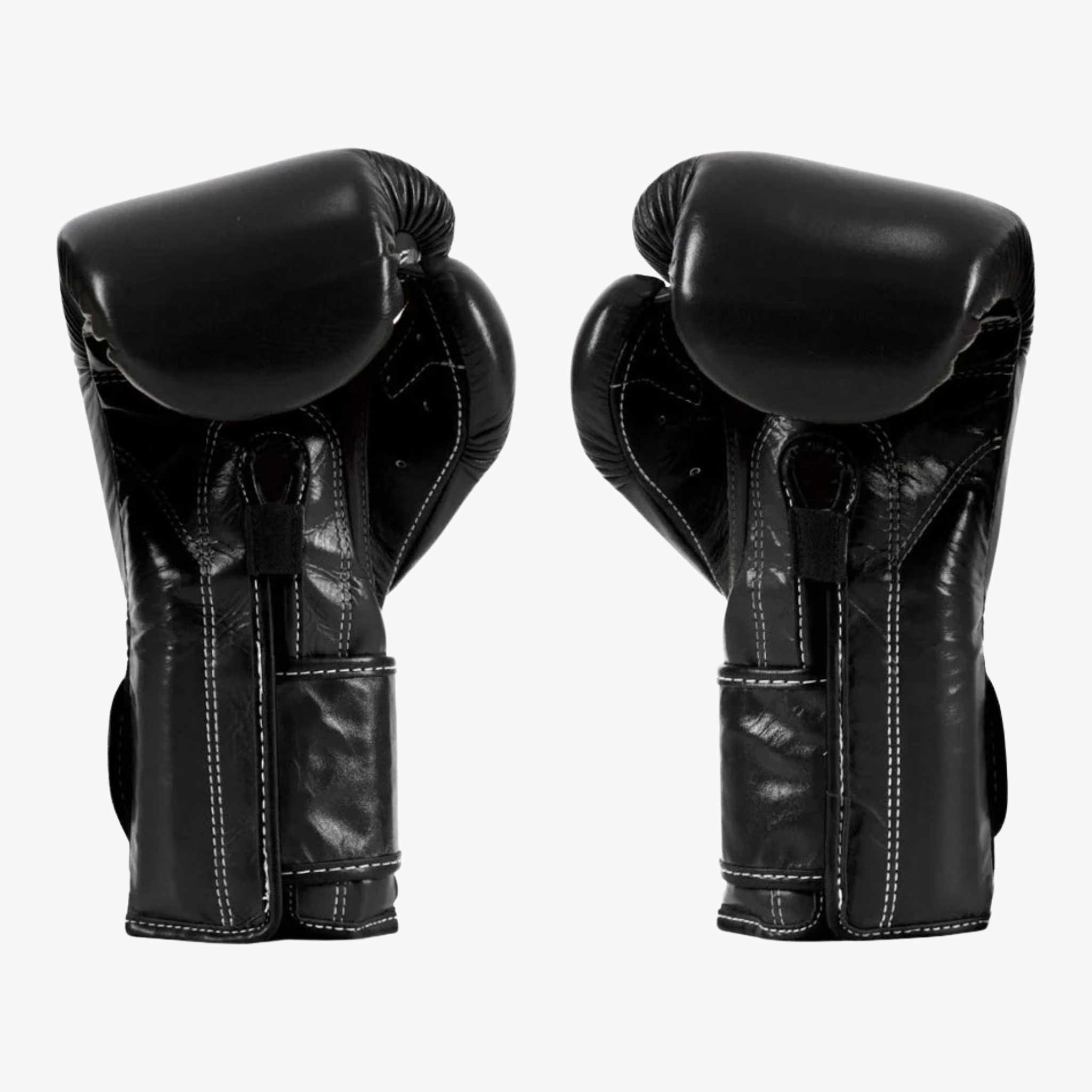FAIRTEX Boxhandschuhe, BGV9 in Schwarz
