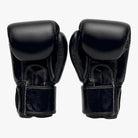 FAIRTEX Boxhandschuhe, BGV1 in Schwarz