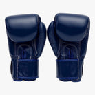 FAIRTEX Boxhandschuhe, BGV1 in Blau