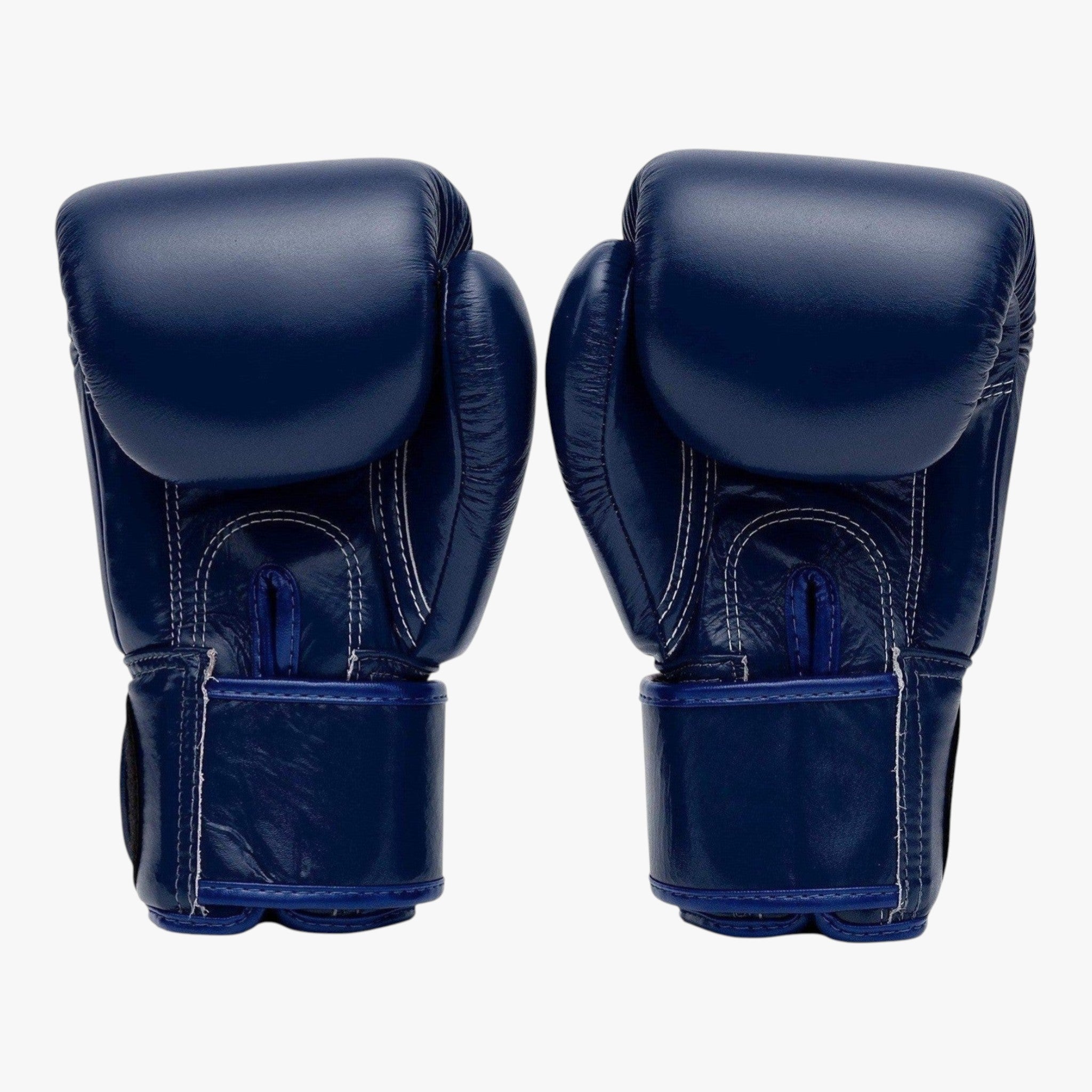 FAIRTEX Boxhandschuhe, BGV1 in Blau