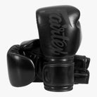 FAIRTEX Boxhandschuhe, BGV14 in Schwarz