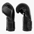 FAIRTEX Boxhandschuhe, BGV14 in Schwarz