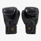 FAIRTEX Boxhandschuhe, BGV19 in Schwarz