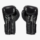 FAIRTEX Boxhandschuhe, BGV5 in Schwarz