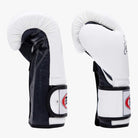 FAIRTEX Boxhandschuhe, BGV9 in Weiß