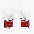 FAIRTEX Boxhandschuhe, BGV1T in Thai Pride